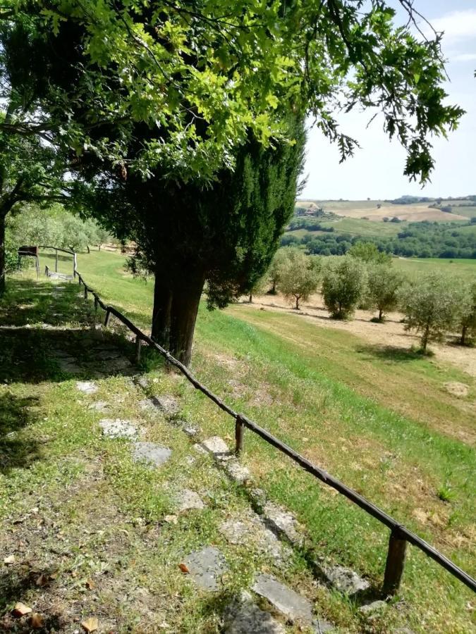 Agriturismo Podere Cherzo Cinigiano Екстер'єр фото