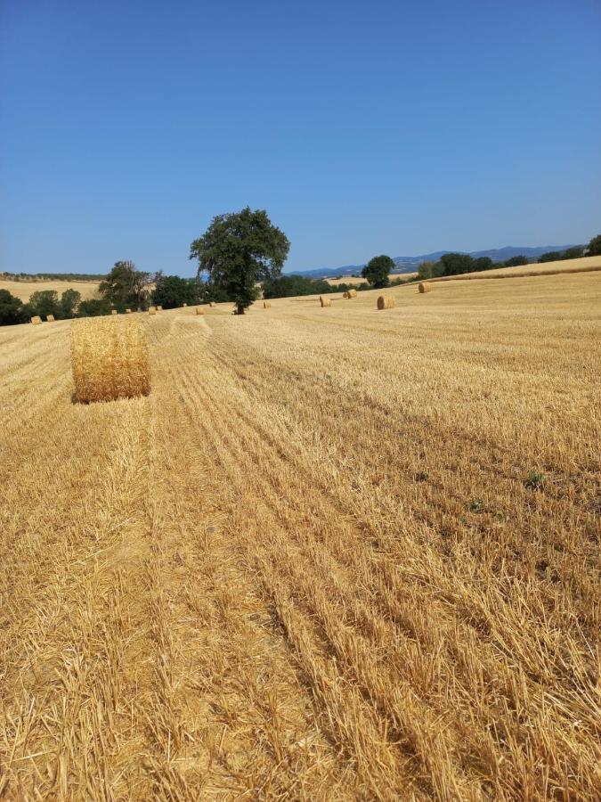 Agriturismo Podere Cherzo Cinigiano Екстер'єр фото