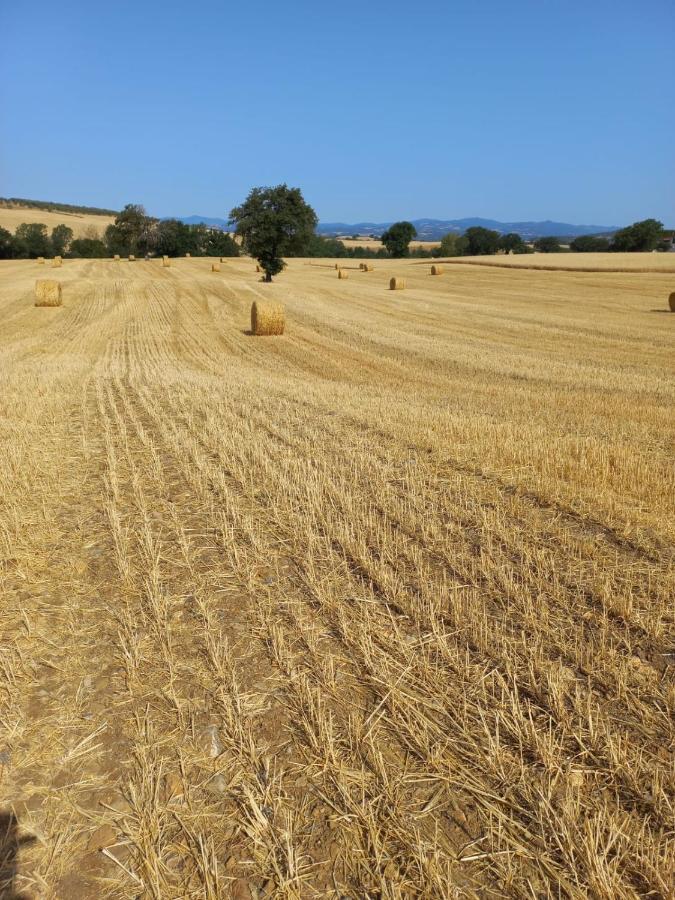 Agriturismo Podere Cherzo Cinigiano Екстер'єр фото