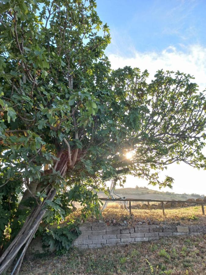 Agriturismo Podere Cherzo Cinigiano Екстер'єр фото