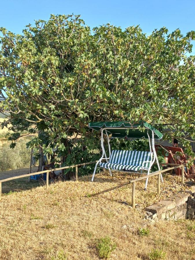 Agriturismo Podere Cherzo Cinigiano Екстер'єр фото