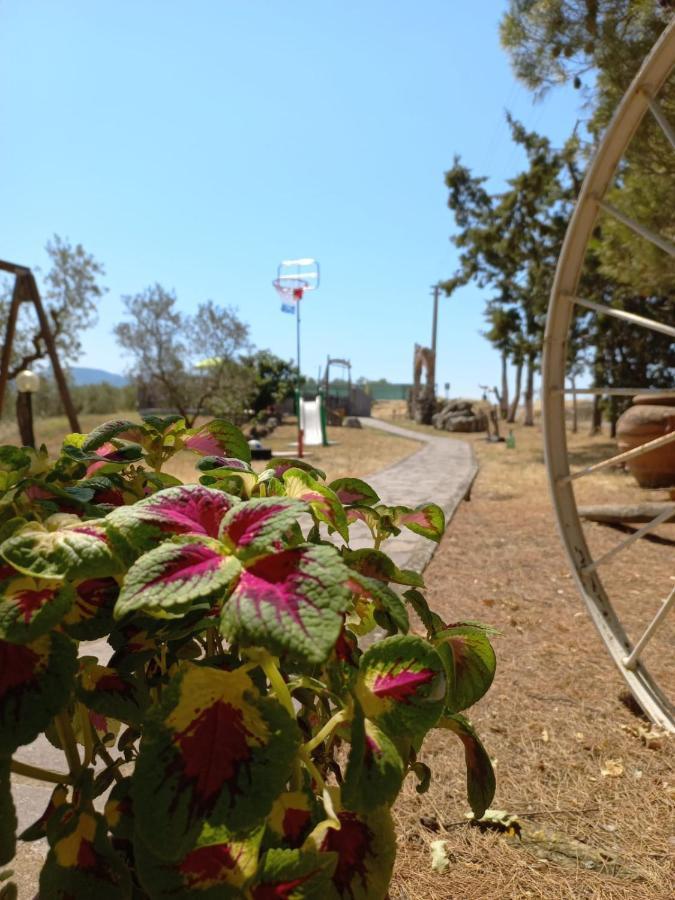 Agriturismo Podere Cherzo Cinigiano Екстер'єр фото