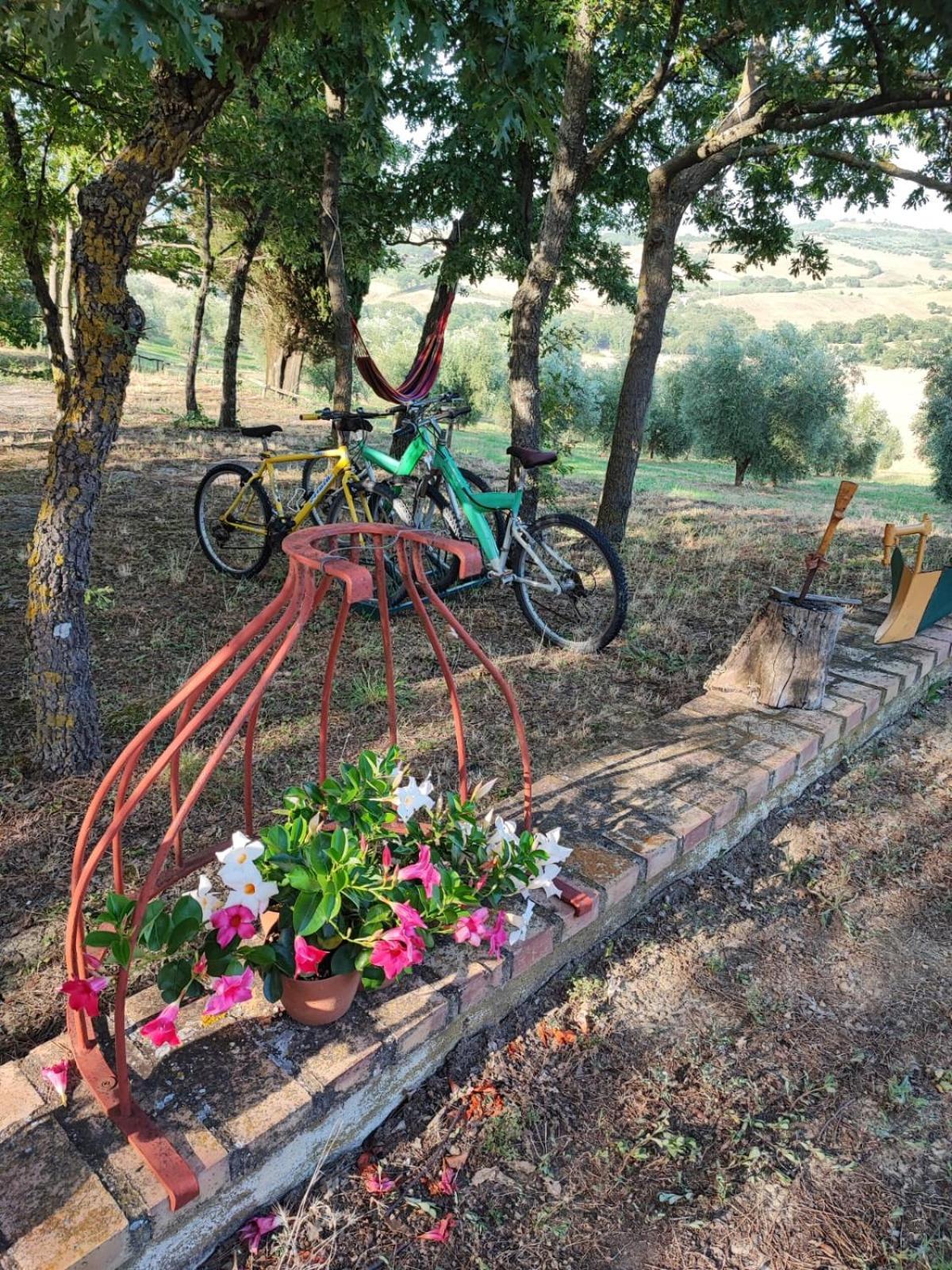 Agriturismo Podere Cherzo Cinigiano Екстер'єр фото
